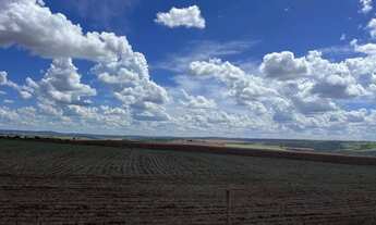 Imagem 4: Fazenda de Lavoura 46 Alqueires!