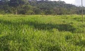 Imagem 7: Vendo gleba 2hectares região da comunidade Palmeira com córrego e terra de cultura
