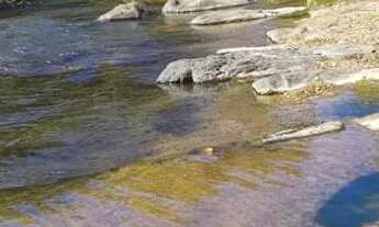 Imagem 2: Sítio de 30 mil metros a venda