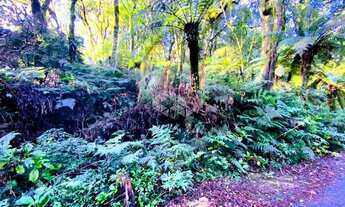 Imagem: A venda terreno de 7.620m², localizado