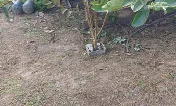 Imagem 5: Vendo ou troco um sítio localizado no janaoca comunidades do italiano