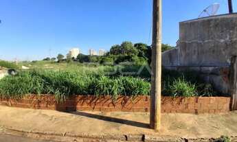 Imagem 3: Terreno Padrão à venda no Jardim São Carlos, São Carlos
