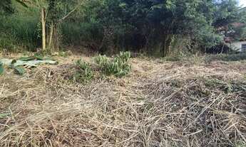 Imagem 4: TERRENO PRÓXIMO AO CENTRO