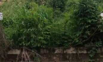 Imagem 2: Lote / Terreno Comercial Para Vender no bairro Tropical em Contagem