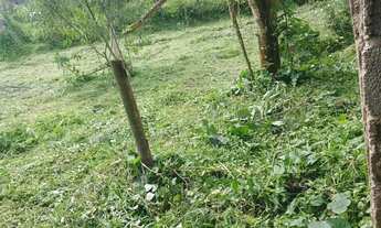 Imagem 7: Chácara com lindo lago em Juquitiba