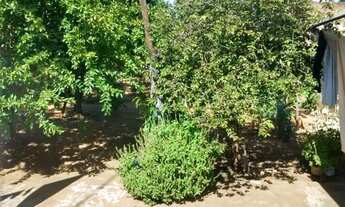 Imagem 6: Bairro São Joaquim, ótima localização para residencial e comercial, 3 dormitórios