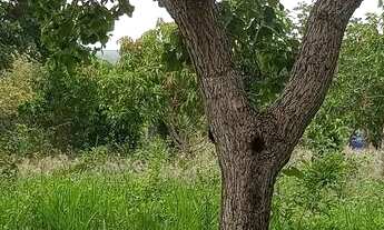 Imagem 6: Vendo chácara de 5 mil metros quadrado