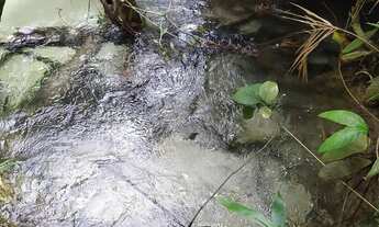 Imagem 6: Fazenda Agropecuária com 2500 ha em Nova Lacerda - MT