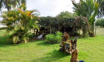 Imagem 6: Chácara à Venda com 8,5 Alqueires em Corumbaíba GO