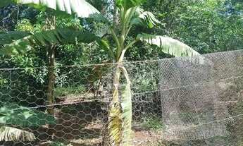 Imagem 6: Terreno à venda, 2000 m² por R$ 607.000 - Zona Rural - Jardinópolis/SP