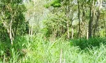 Imagem 5: Terreno ótima topografia