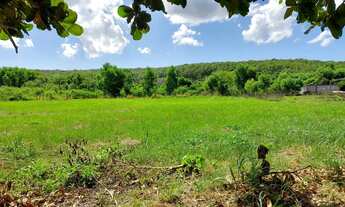 Imagem 3: Área rural com galpão bem grande em Guarapari
