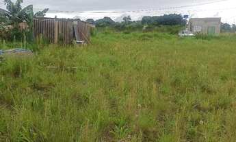 Imagem 7: Lote na ponte alta