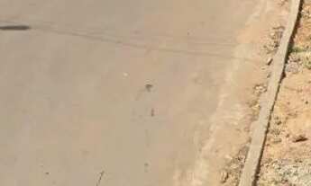 Imagem 5: TERRENO NA CIDADE OPERÁRIA