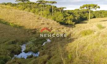 Imagem 3: Lote em Estrada do Blang - Interior - São Francisco de Paula/RS
