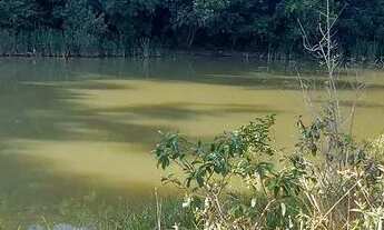 Imagem 4: Terreno Comercial as margens da MG 010