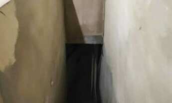 Imagem 3: 2 casas germinadas