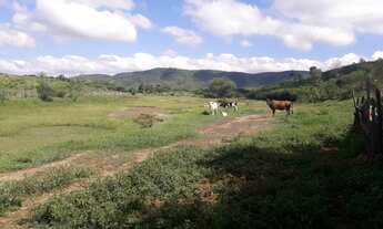 Imagem 2: Vendo Fazenda Com 60 Tarefa em Crato