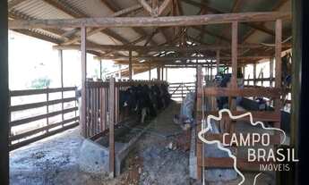 Imagem: Oportunidade rural! Fazenda barata no sul