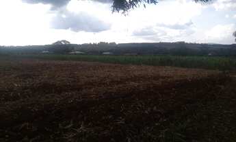 Imagem 6: MATEUS LEME - SERRA AZUL