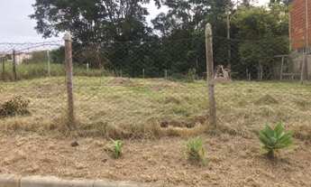 Imagem 3: Vendo lote plano 330 metros São Pedro