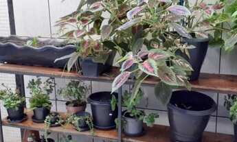 Imagem 2: BAIRRO SÃO JOSÉ!!!!ACEITA VEICULO COMO PARTE DE PAGAMENTO!!!