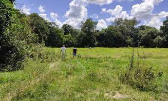 Imagem 16: Fazenda Fazendinha 19 Hectares, 16 Hectares. FLORESTA MG