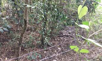Imagem 5: Terreno no bairro Vale do Ipê Amarelo