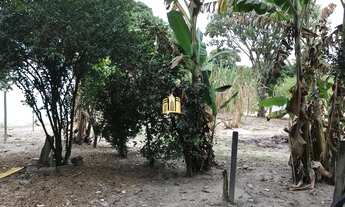 Imagem 4: Sitio no Cidade Jardim - Esmeraldas