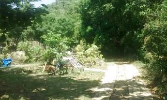 Imagem 5: Excelente Sítio de 38.000 metros quadrados em Pedra de Guaratiba Rio de Janeiro/RJ