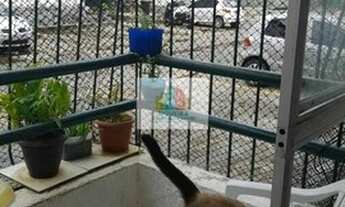 Imagem 3: Siqueira Vende: Excelente apartamento em Candeias