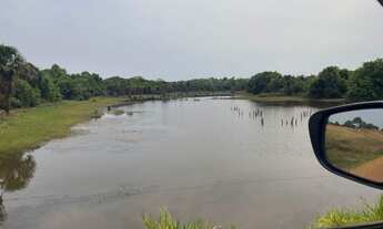 Imagem 6: Fazenda de 156 Alqueires em Novo Planalto - GO