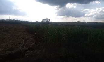 Imagem 2: MATEUS LEME - SERRA AZUL