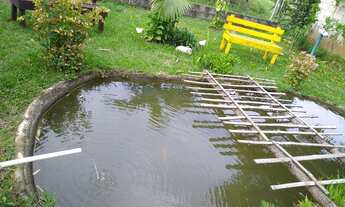 Imagem: Fazenda/Sítio/Chácara para venda tem 2000