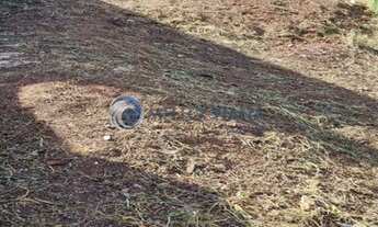 Imagem 2: TERRENO RESIDENCIAL em SÃO LOURENÇO - MG, loteamento sao Joao