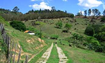 Imagem 3: Sitio para venda em Joaquim Egidio, Campinas/SP