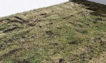 Imagem 2: Bairro Laranjeiras - Casa 2 Quartos sendo 1 Suite - Fino acabamento - 1626udi