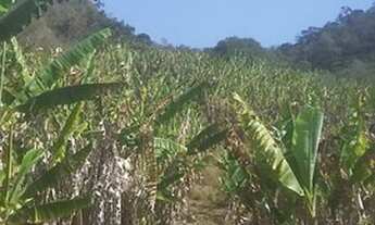 Imagem 7: Linda área para venda com 48.400 m² no Bairro Lambari - Gonçalves - MG