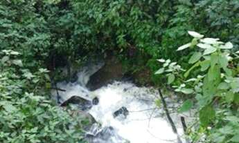 Imagem 5: Sítio / Chácara para Venda em Linha Nova, Linha Nova