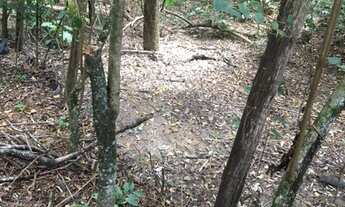 Imagem 3: Terreno no bairro Vale do Ipê Amarelo