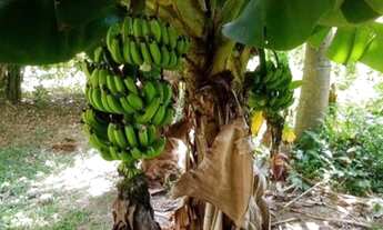 Imagem 2: Vendo casa em Santana