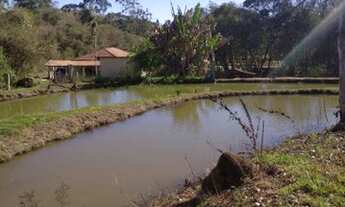 Imagem 6: Sítio com 3 dormitórios à venda, 30000 m² por R$ 700.000,00 - Área Rural - Santa Rita de C