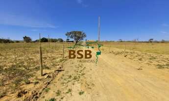 Imagem 3: Chácara de 20.000m² em Ponte Alta Norte - Brasília - DF