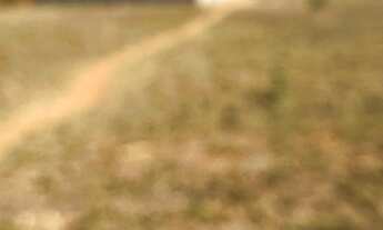 Imagem 5: Lote/Terreno para venda tem 250 m² no Residencial Lago Azul - Uberlândia - MG