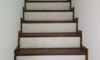 Imagem 4: Casa com 12 dorms, Vila Mariana, São Paulo, Cod: 920