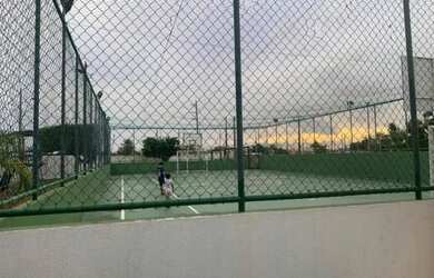 Imagem 14: Palm Ville 66752