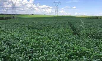 Imagem 7: Fazenda 19 Alqueires Zona Rural - Abadiânia - GO