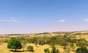 Imagem 6: Chácara a venda em Anicuns - GO