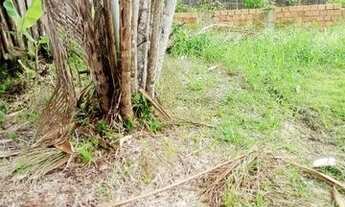 Imagem 3: Terreno com Casa simples em Outeiro