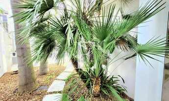 Imagem 3: CASA PARA LOCACAO EM SUMARE